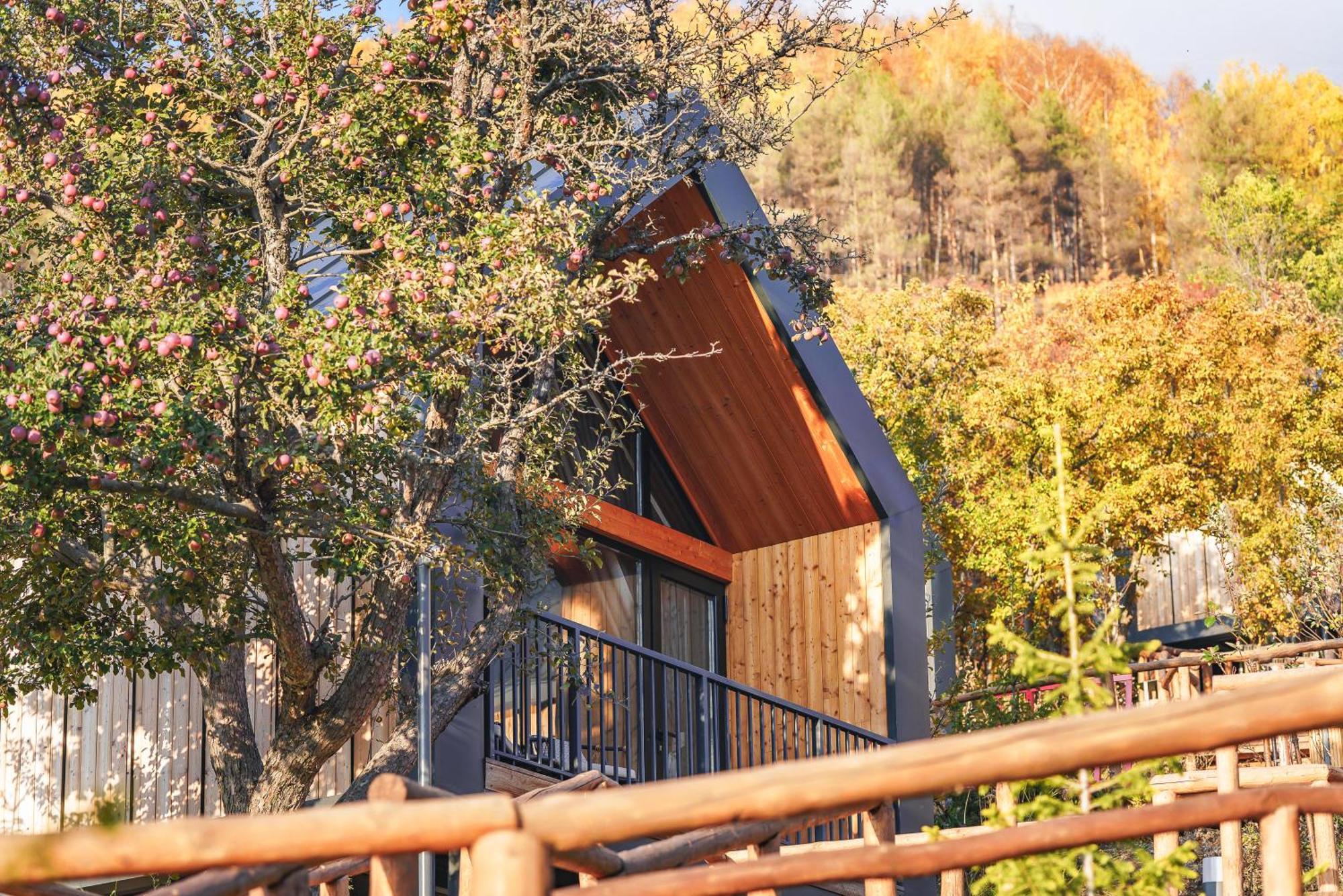 Qazaq Auyl Eco Hotel Almaty Exterior foto